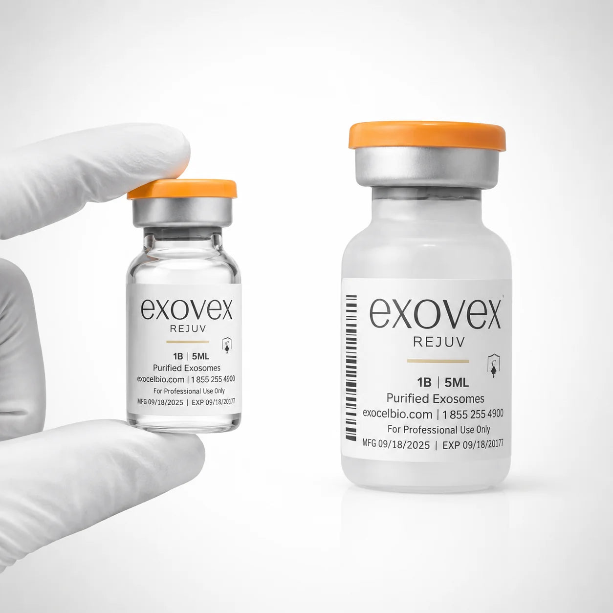Exosomes